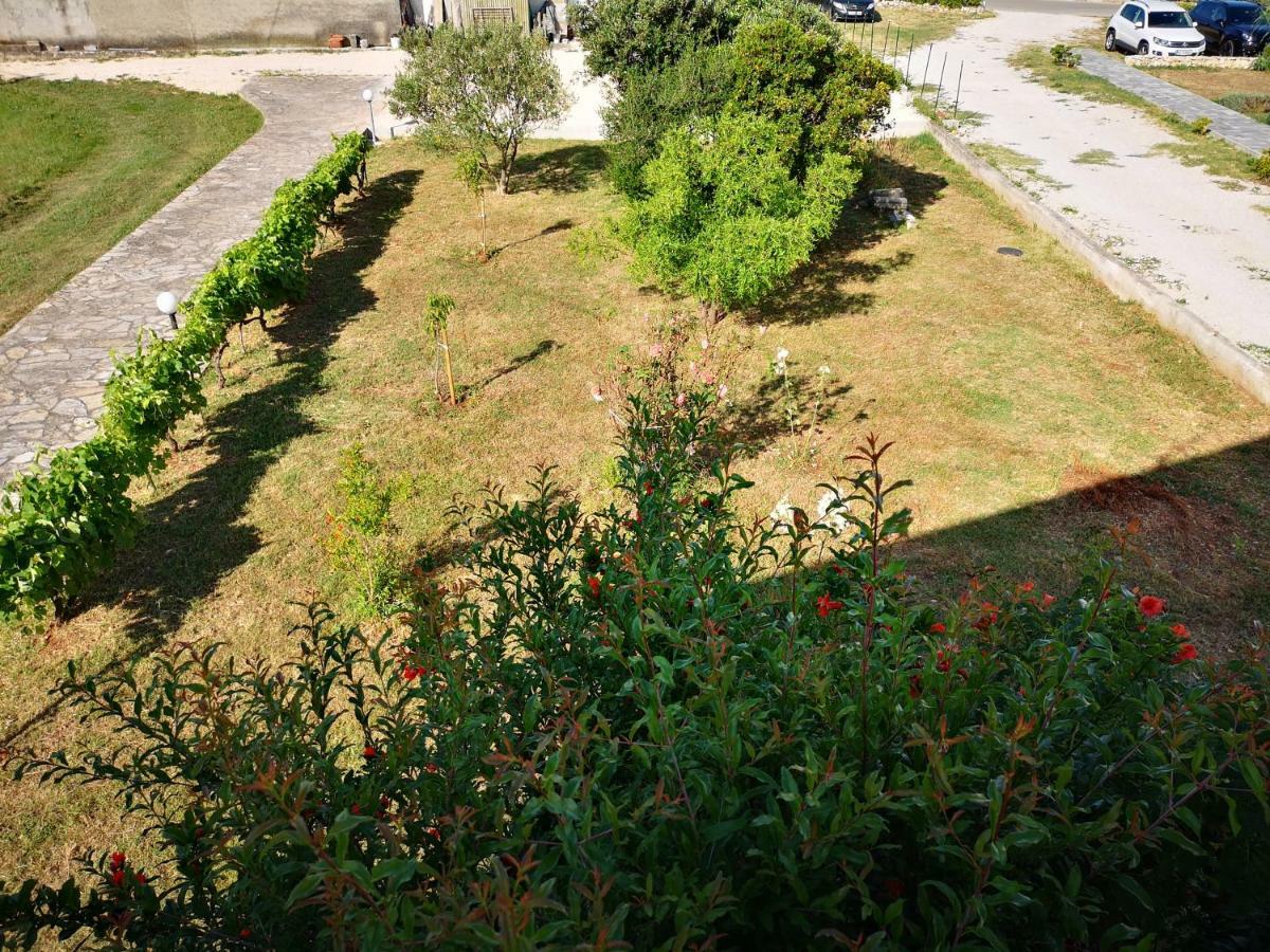 Apartmani Labud Sukošan Exterior foto